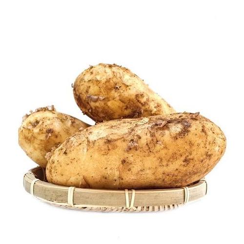 蔬菜云語新鮮蔬菜根莖菜綜合鏈接