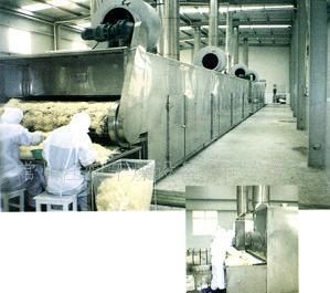 供應(yīng)果蔬保鮮設(shè)備 脫水蔬菜水果干燥機(jī) 使用壽命長_機(jī)械及行業(yè)設(shè)備_世界工廠網(wǎng)中國產(chǎn)品信息庫