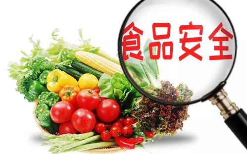 蔬菜也有 身份證 了 手機掃一掃看蔬菜的 前世今生