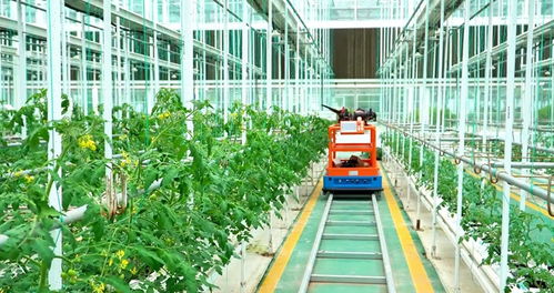 一粒種子的 綠游記