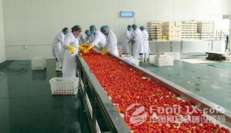 農(nóng)產(chǎn)品初加工的農(nóng)產(chǎn)品初加工范圍