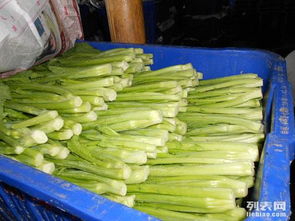 圖 清遠(yuǎn)蔬菜配送公司 蘿崗送菜公司 廣州餐飲美食