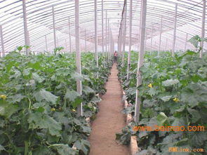 華洋學山水泥制品廠,華洋學山水泥制品廠生產廠家,華洋學山水泥制品廠價格