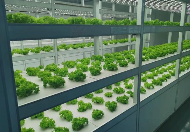 【智慧農(nóng)業(yè)】智慧農(nóng)業(yè)八大應(yīng)用場景